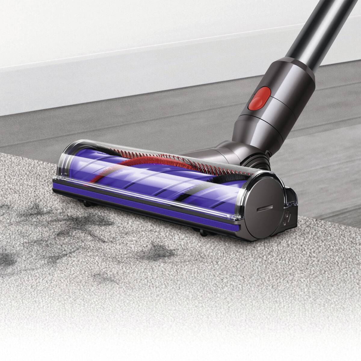 1455167 bild4 20240823 5267jpg