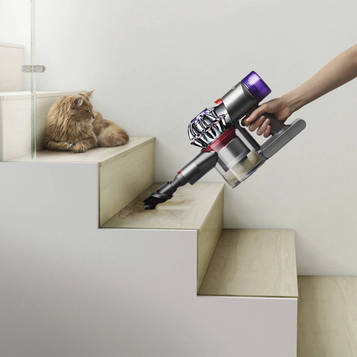 1455167 bild5 20240823 5267jpg